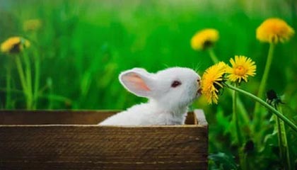 开云kaiyun-足球电子竞技联赛启动线上选拔通道，足协举办电竞足球队选拔