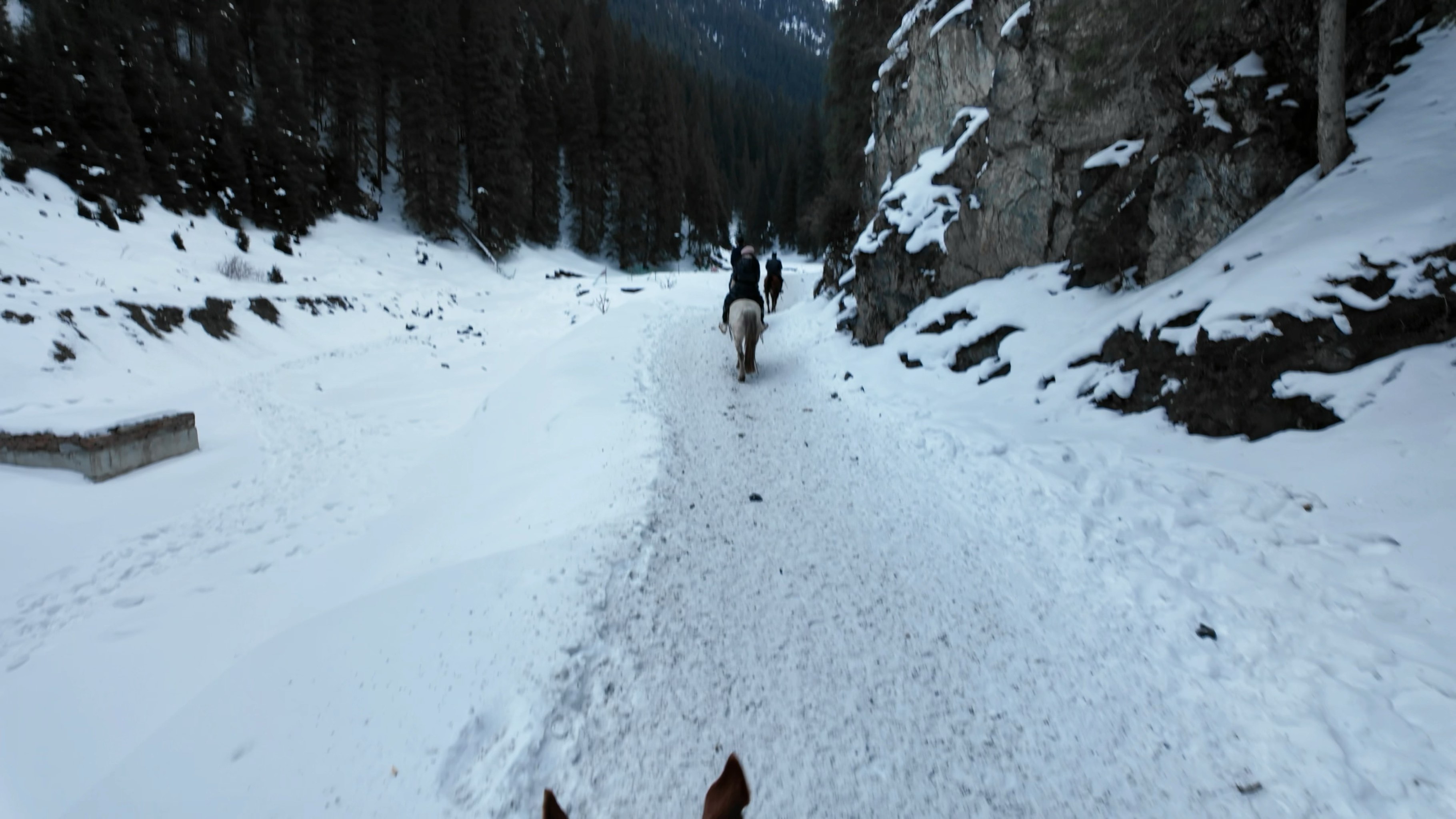 冬季飘雪徒步穿越，体验雪原的纯净与静谧的简单介绍