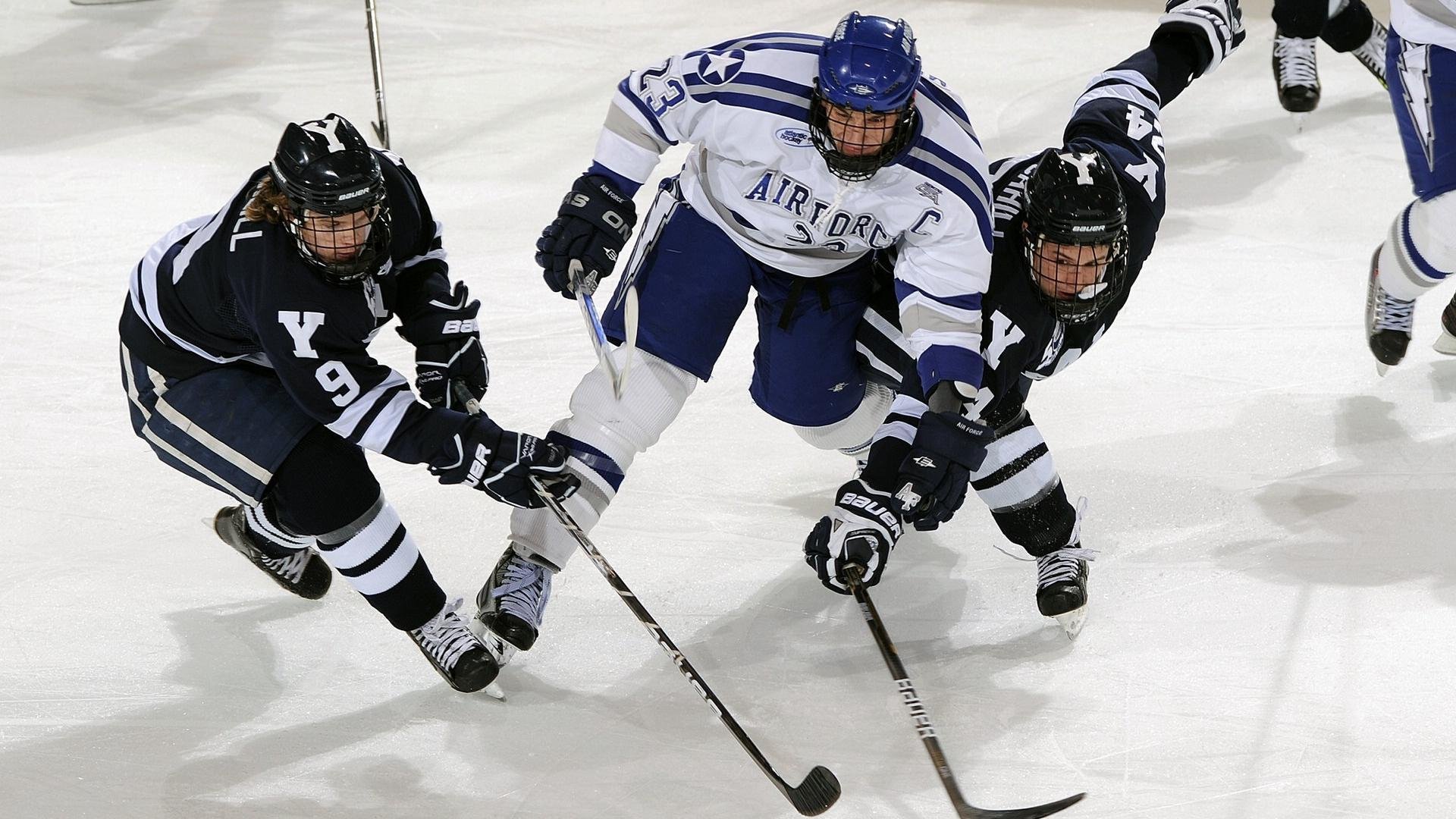 kaiyun sports-“德甲积分榜持续变换，豪强割据成主流”，德甲积分2020-2021