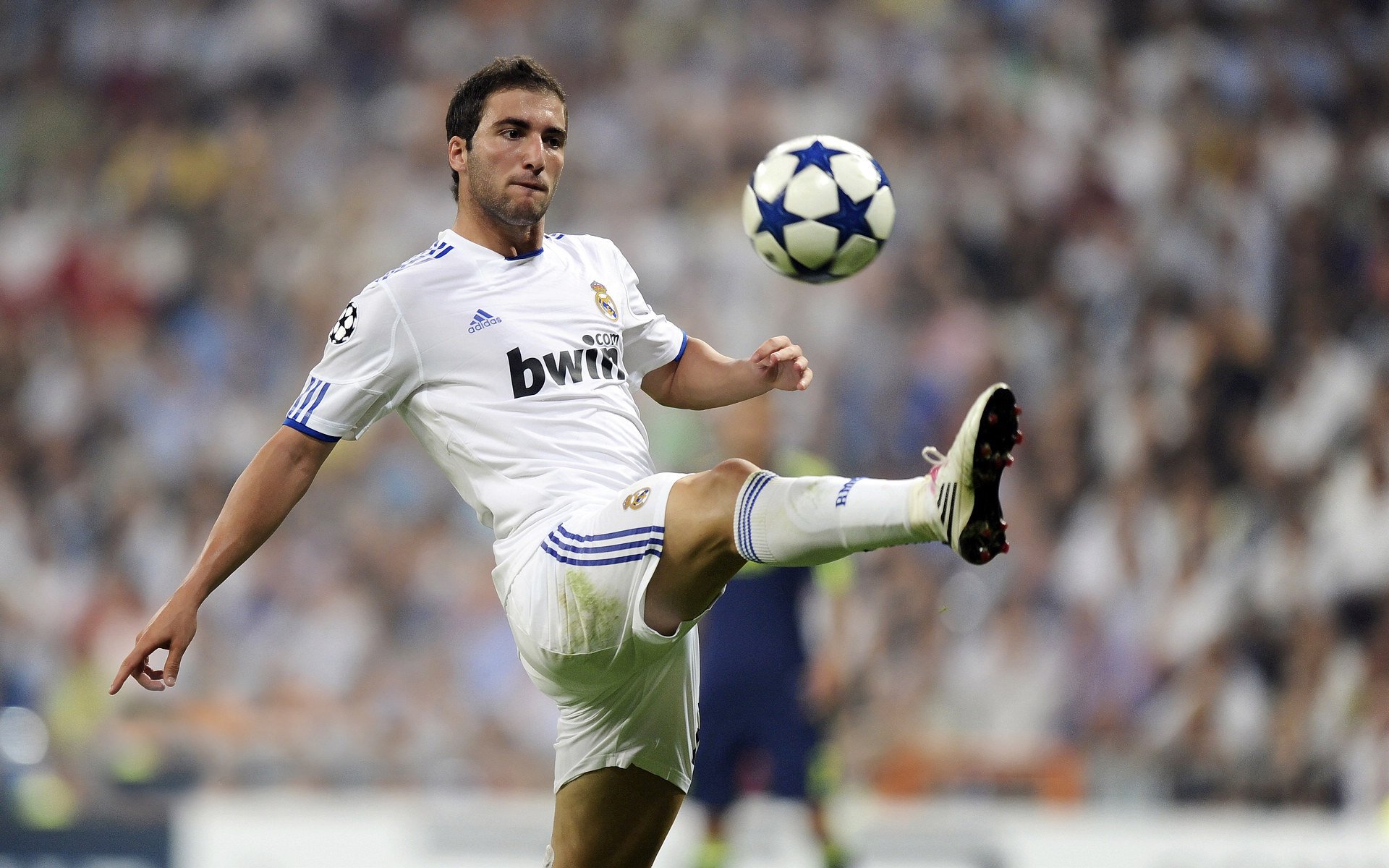 世界水球冠军杯：水中角逐的激烈竞争，水球冠军赛